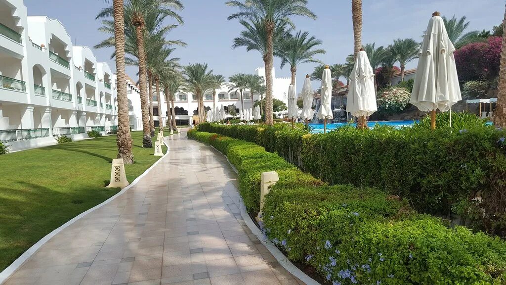 Отель барон палмс египет шарм-эль-шейх. Египет барон резорт шарм-эль-шейх. Отель барон палмс египет шарм-эль-шейх. Baron palms шарм эль шейх. Baron palms 5 шарм-эль-шейх.