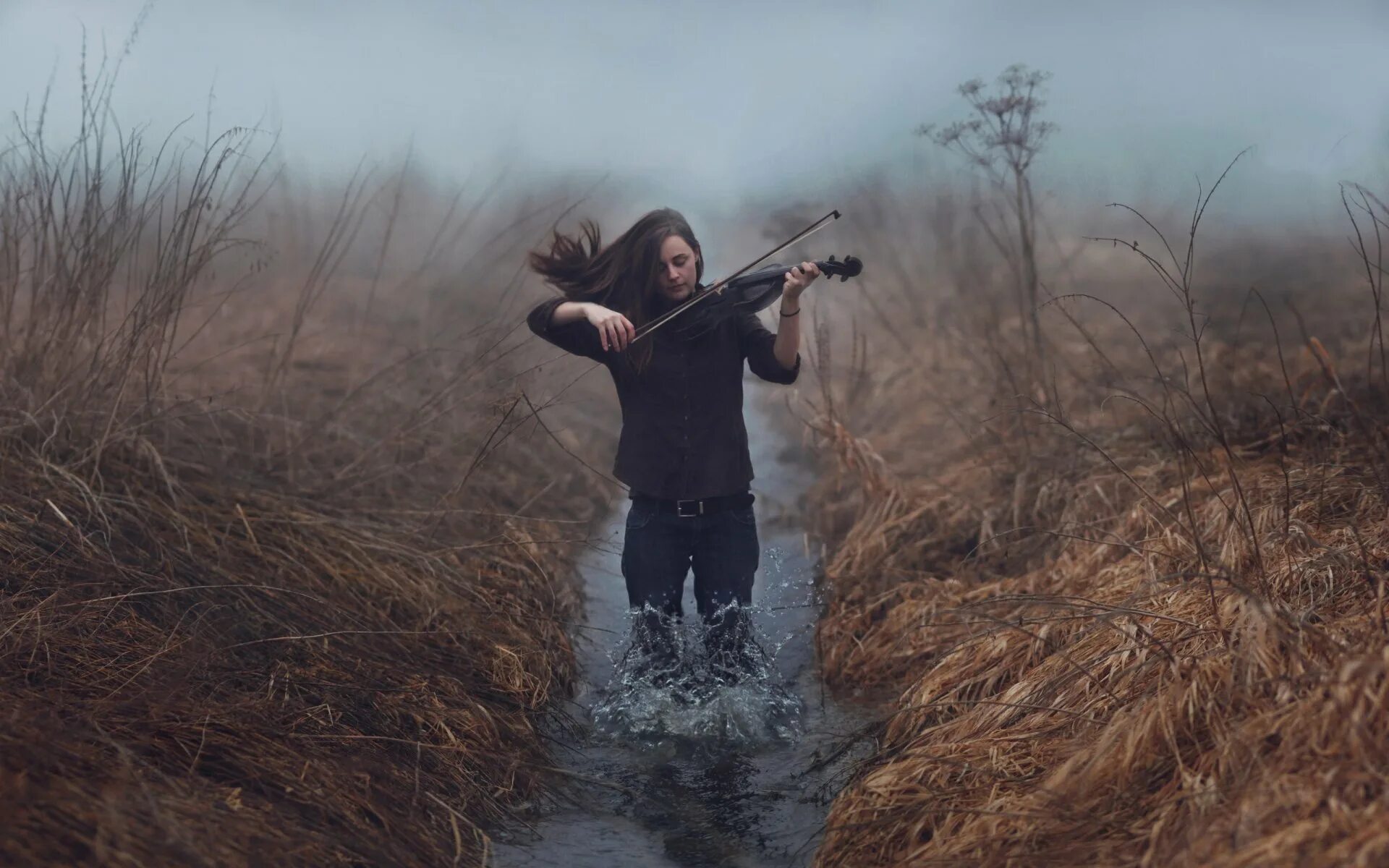 Музыка на скрипке без слов. Парень со скрипкой. Скрипач в тумане. Скрипачка на природе. Скрипачка со спины.