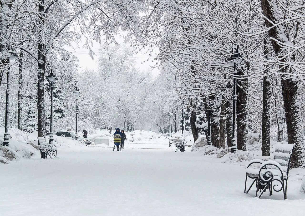 зимний пейзаж парк. пермь зима. пермь снежная пермь 1. пермь зима. снежное пермь.