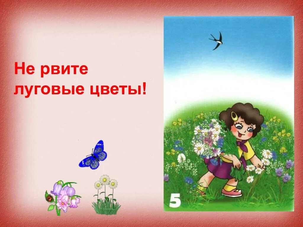 Рвать цветы. Не рвите цветы. Не рви на лугу цветы. Дети рвут цветы. Видео не рви цветы