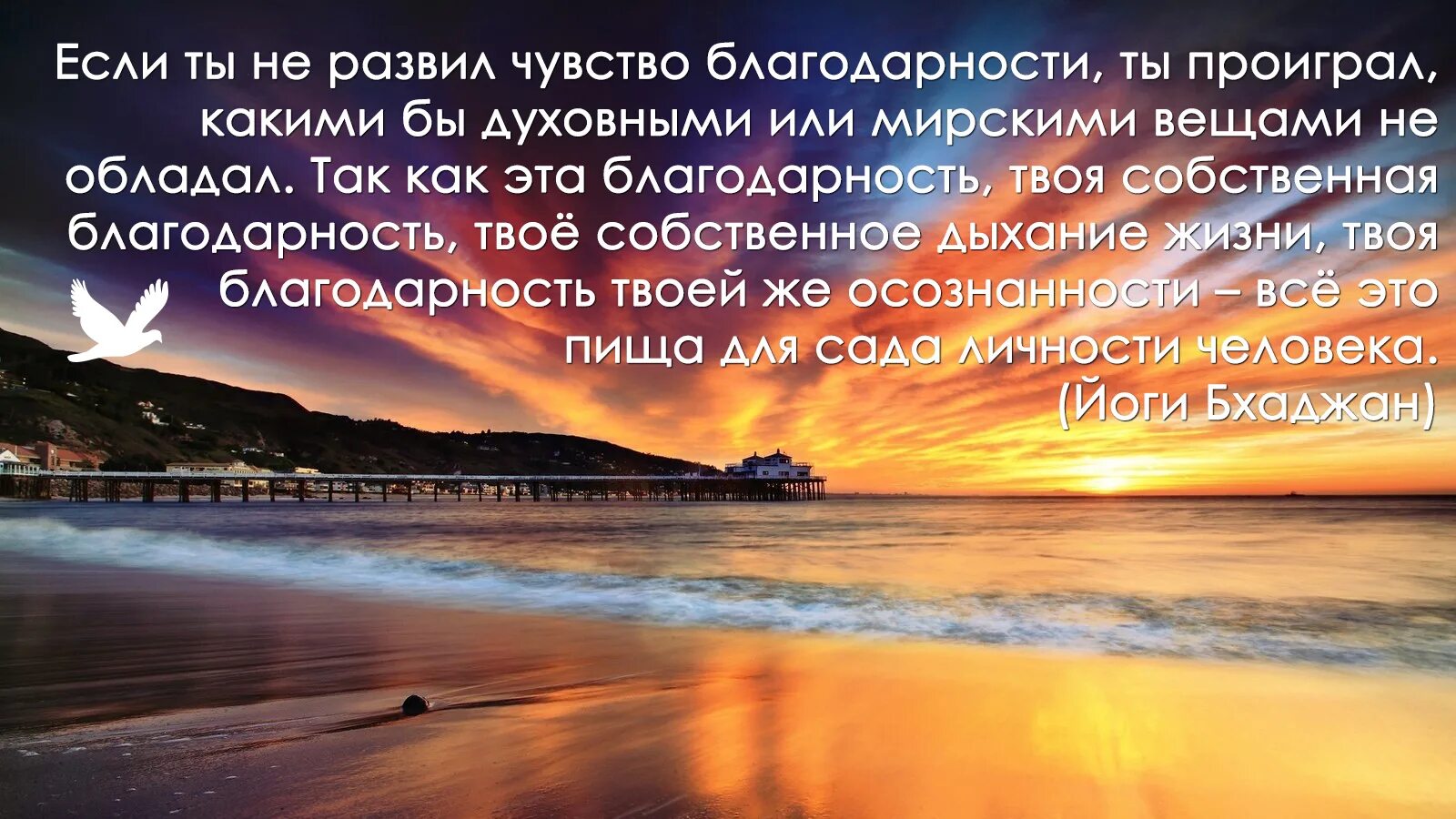 Что делать благодарить. Благодарность цитаты. Афоризмы про благодарность. Высказывания о благодарности. Благодарю афоризмы.