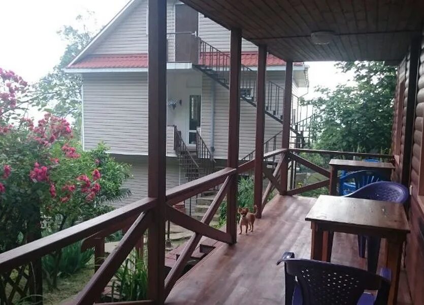 усадьба сочи. адлерский район сочи дом. отель усадьба адлер просвещения 50а. бунгало в дагомысе. особняк в сочи с бассейном.