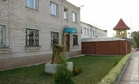 Шаховская колония