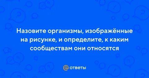 Какой организм называют основным хозяином