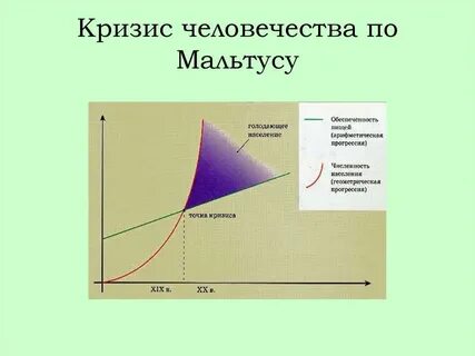 Закон народонаселения т мальтуса