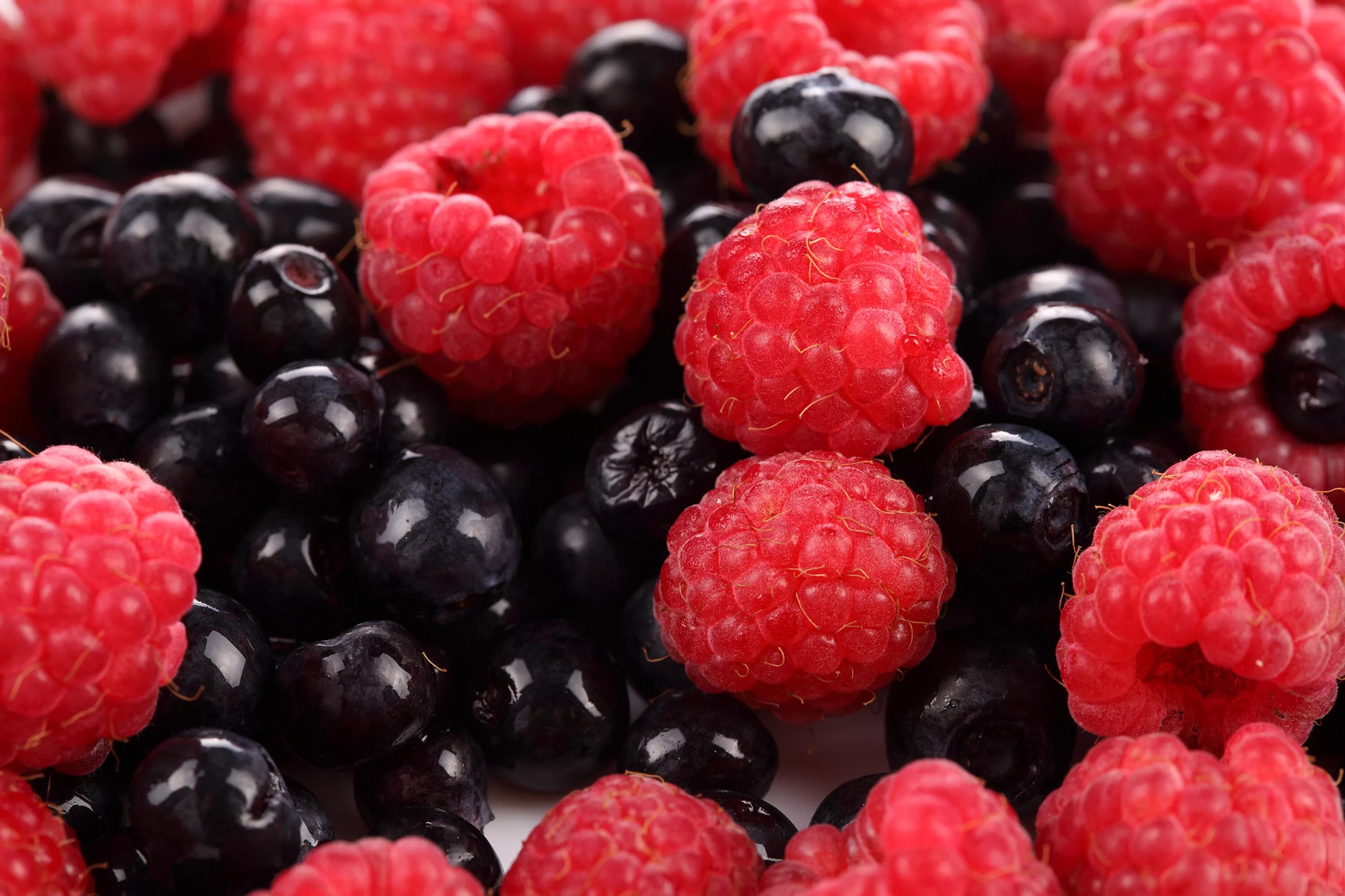 черника малина. ежевичная малина. ягоды малина ежевика. ягода малина. малина.