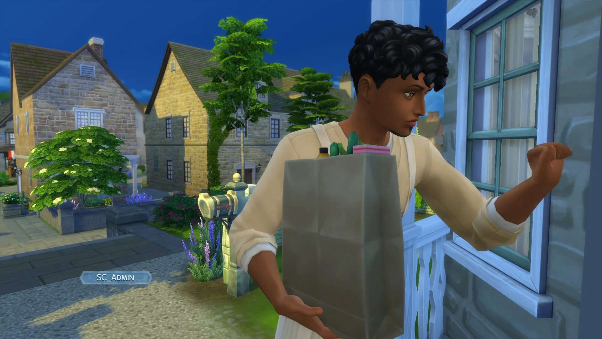 Не работает симс 4. Рахул чопра симс 4. симс 4 еда. еда из the sims 4. sims 4 cottage living.