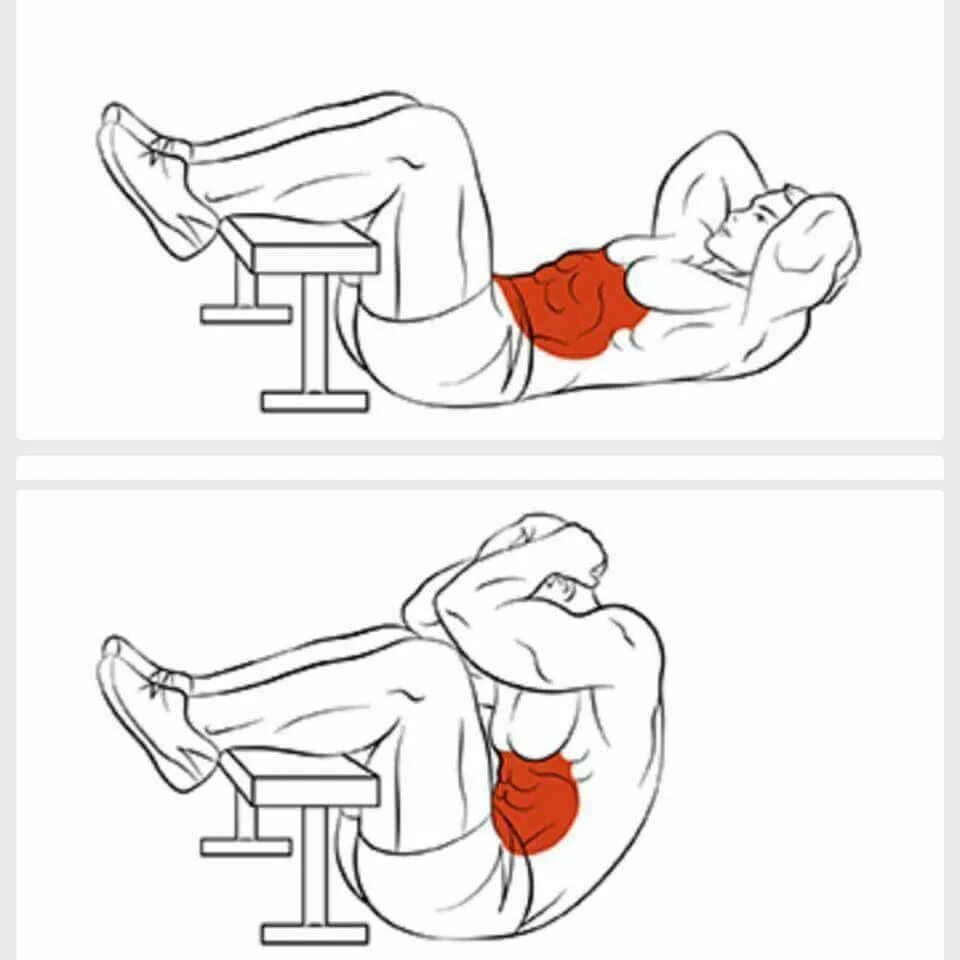 Как накачать пресс живота мужчине