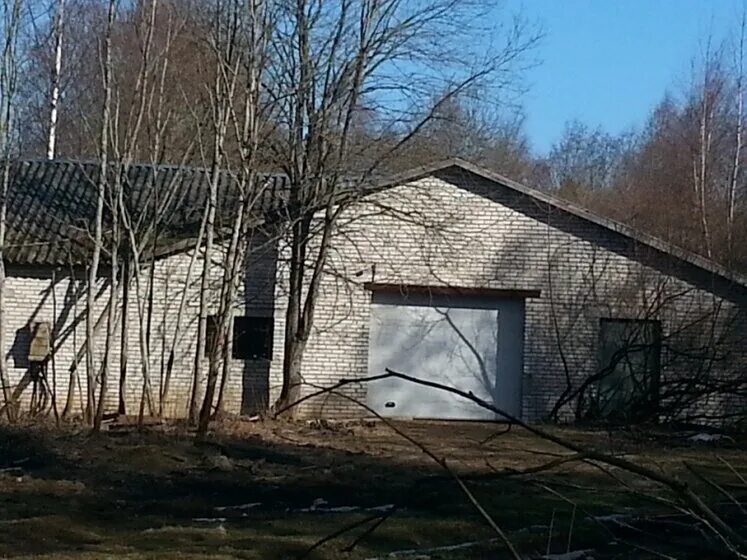 автозапчасти поселок котельский. котельский. авито котельский. поселок котельский ленинградская область. авито котельский.