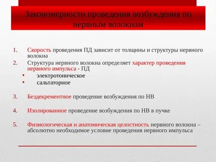 Процессы возбуждения и торможения
