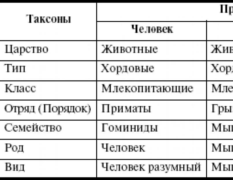 Таблица царство вид отряд. Классификация живых организмов. Царство Тип класс отряд вид биология. Все царства типы классы семейства роды и виды живых организмов. Принципы классификации живых организмов.