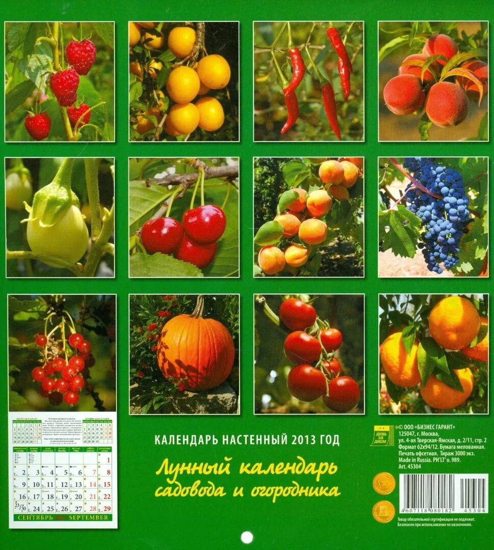 Календарь настенный для огородников. Лунный календарь 2013 Москва. Книжка календарь садовода Новосибирская область. Памятник календарь садовода. Календарь 2024 для огородников лунный московской области