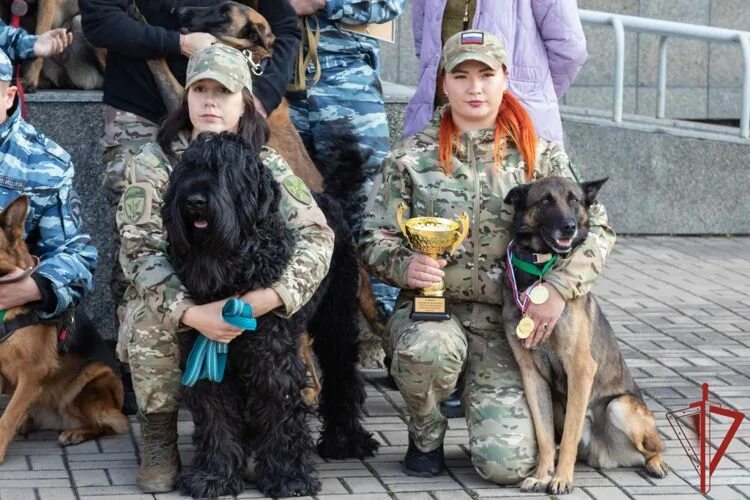 Кинологи ОМОНА В Хабаровске. Кинолог ОМОН. ОМОН тигр кинологи. 35 Лет ОМОН.