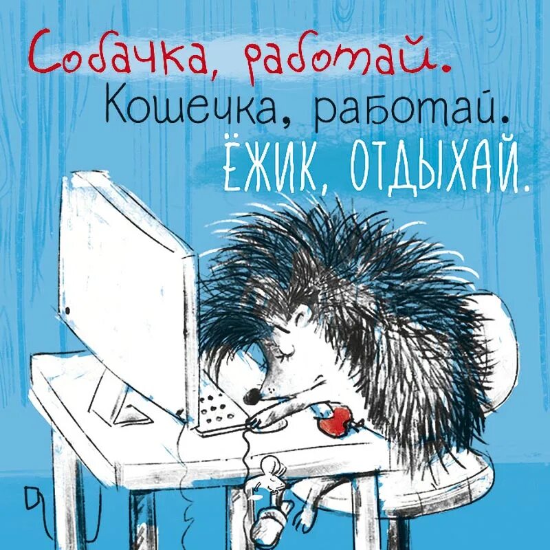 И сутками работает без. Скучающий Ежик. Открытки с Ёжиками прикольные. Еж выздоравливай. Ежик на работе.