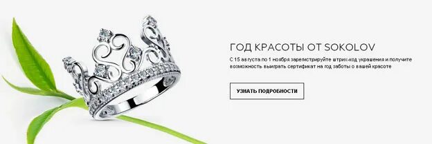 Программа my sokolov