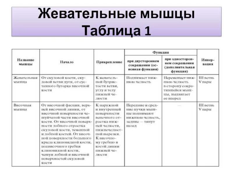 Работа и функции мышц. Жевательные мышцы таблица. Мимические и жевательные мышцы, их расположение и функции. Мышцы головы жевательные и мимические расположение и функции. Основные мышцы функции таблица.