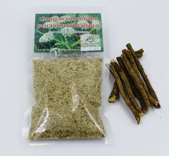 Сапожок корень