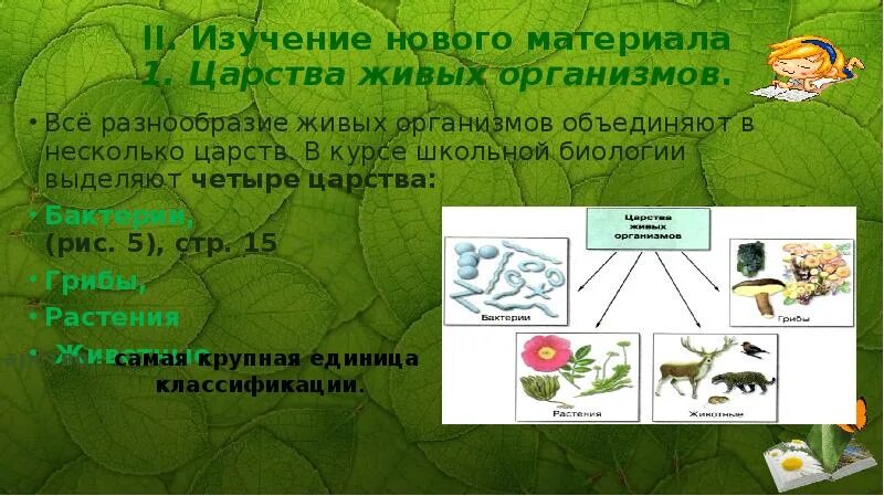 В природе известно царств живых организмов. 1. Царства живых организмов. Школьная биология царства живых организмов. Царства живой природы презентация. Царства исследования в биологии.