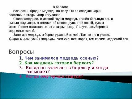 Диктант в лесной глуши
