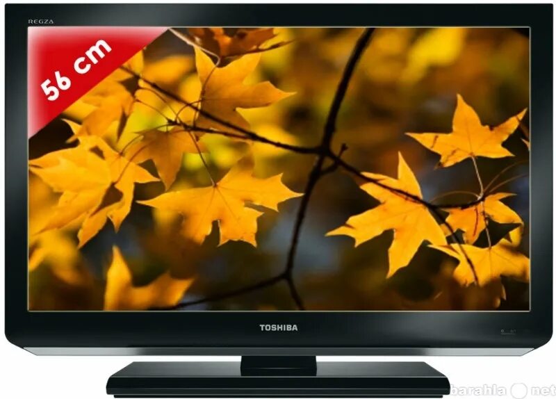 Телевизор тошиба есть. Toshiba 22dl833r. Телевизор Тошиба 22 дюйма. Телевизор Toshiba 22 дюйма. Телевизор Тошиба DL 833.