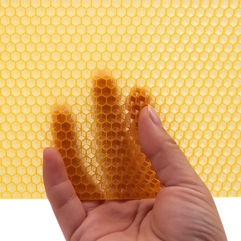 Искусственная восковая основа пчелиных сот 6 букв