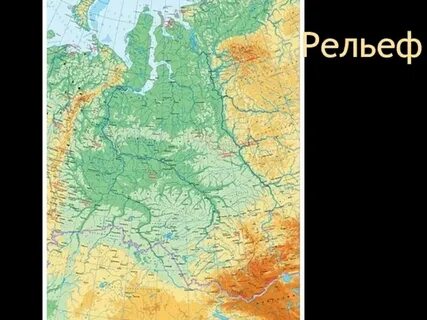 Магазин сибирский рельеф