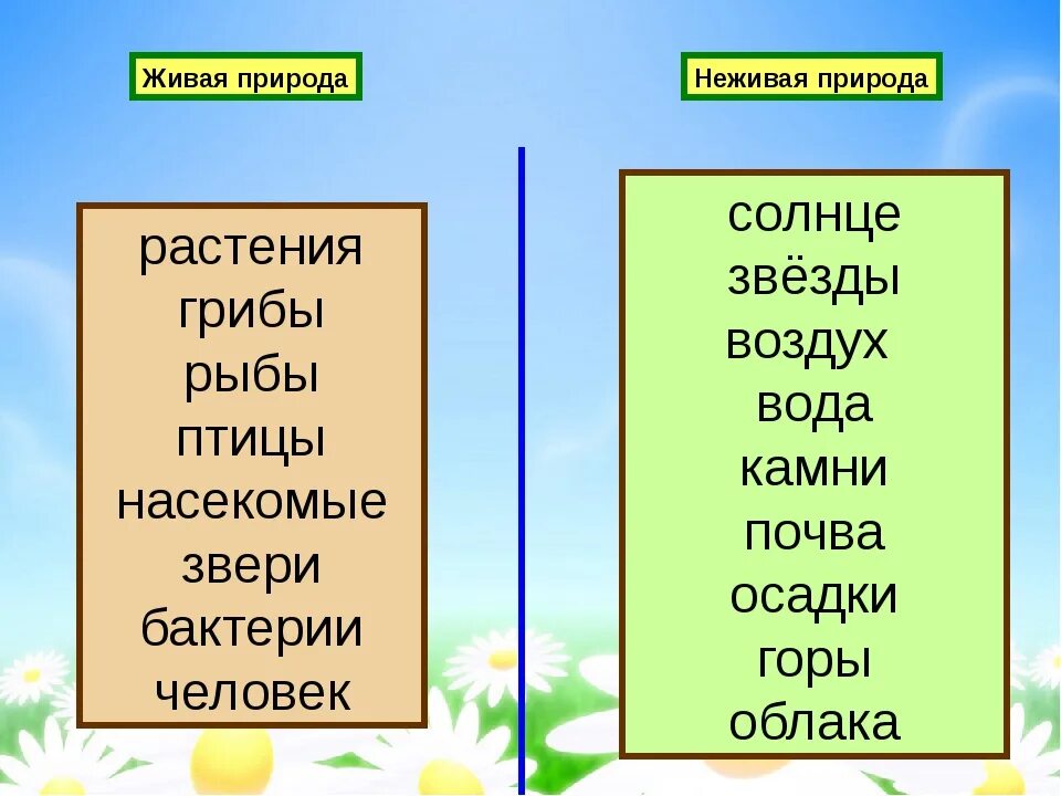 Какие слова названия времен года в предложении. Что относится к живой природе 1 класс. Объекты живой и неживой природы. Объекты живой и неживой природы 2 класс. Объекты неживой природы и живой природы 2 класс.