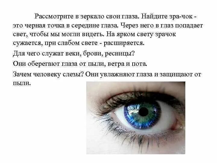 Рассмотрите зрачок. Диаметр зрачка в зеркале. Середины зрачка глаза это середины глаза.