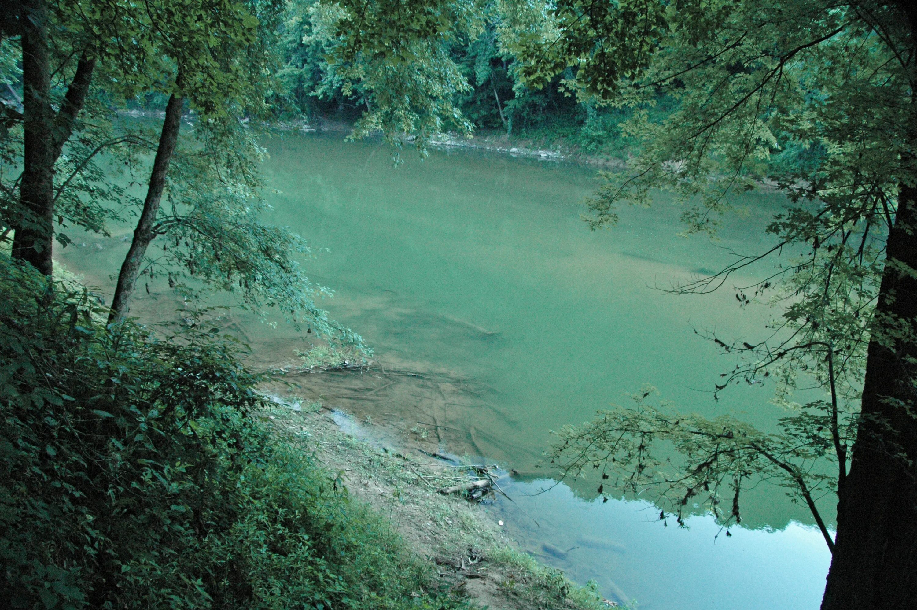 Лаба зеленая. Река Кентукки. Зеленая река. Река зелёная Украина. Зеленая река в городе.