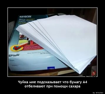 Заканчиваться белый