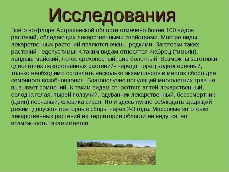 Природные жемчужины астраханской земли. Астрахань презентация. Сообщение про астраханская область. Проект про город астрахань. Сообщение про астраханская область.