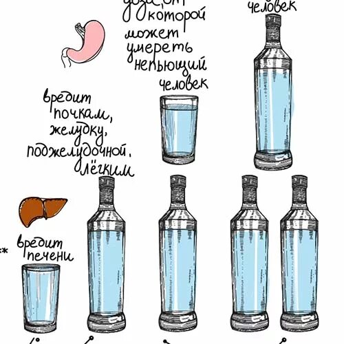 Непьющий человек. Выпиваем в домашних условиях. похмелье после запоя. я непьющий.