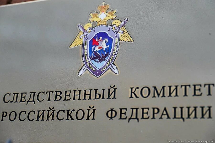 Следственный комитет рф проект Следственный комитет предупреждает о возможных случаях телефонного мошенничества