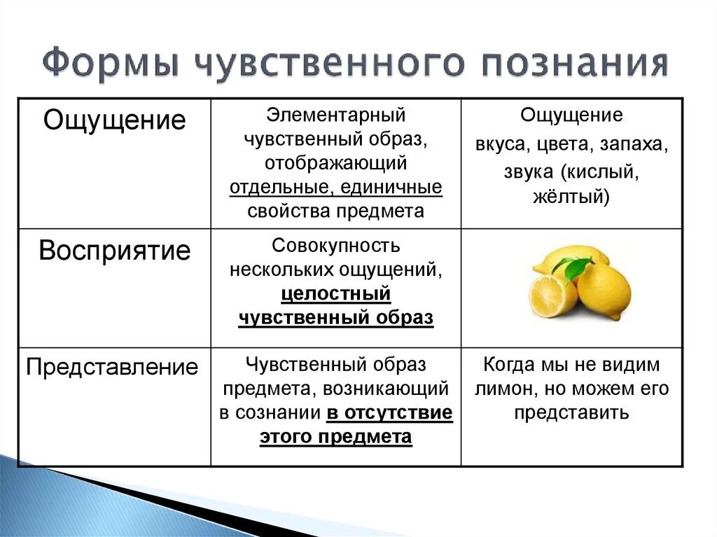 Формы чувственного познания ощущение восприятие представление. Формы чувственного познания Обществознание 10 класс. Формы чувственного познания формы рационального познания. 3 Формы чувственного познания.