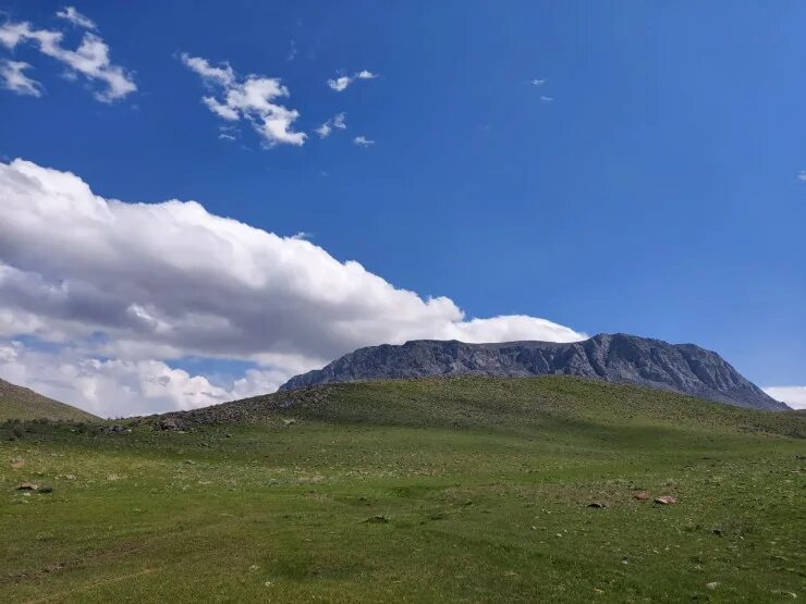 Каратау город в казахстане. Гора каратау. Каратау шымкент. Каратау (хребет, южный урал). Гора каратау.