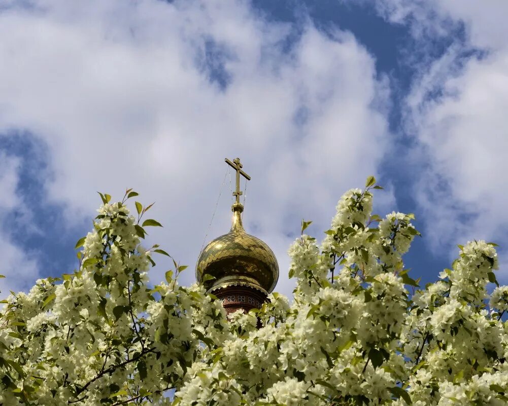 Благословенного поста. Во славу Божию. Божьей помощи. Открытка во славу Божью.