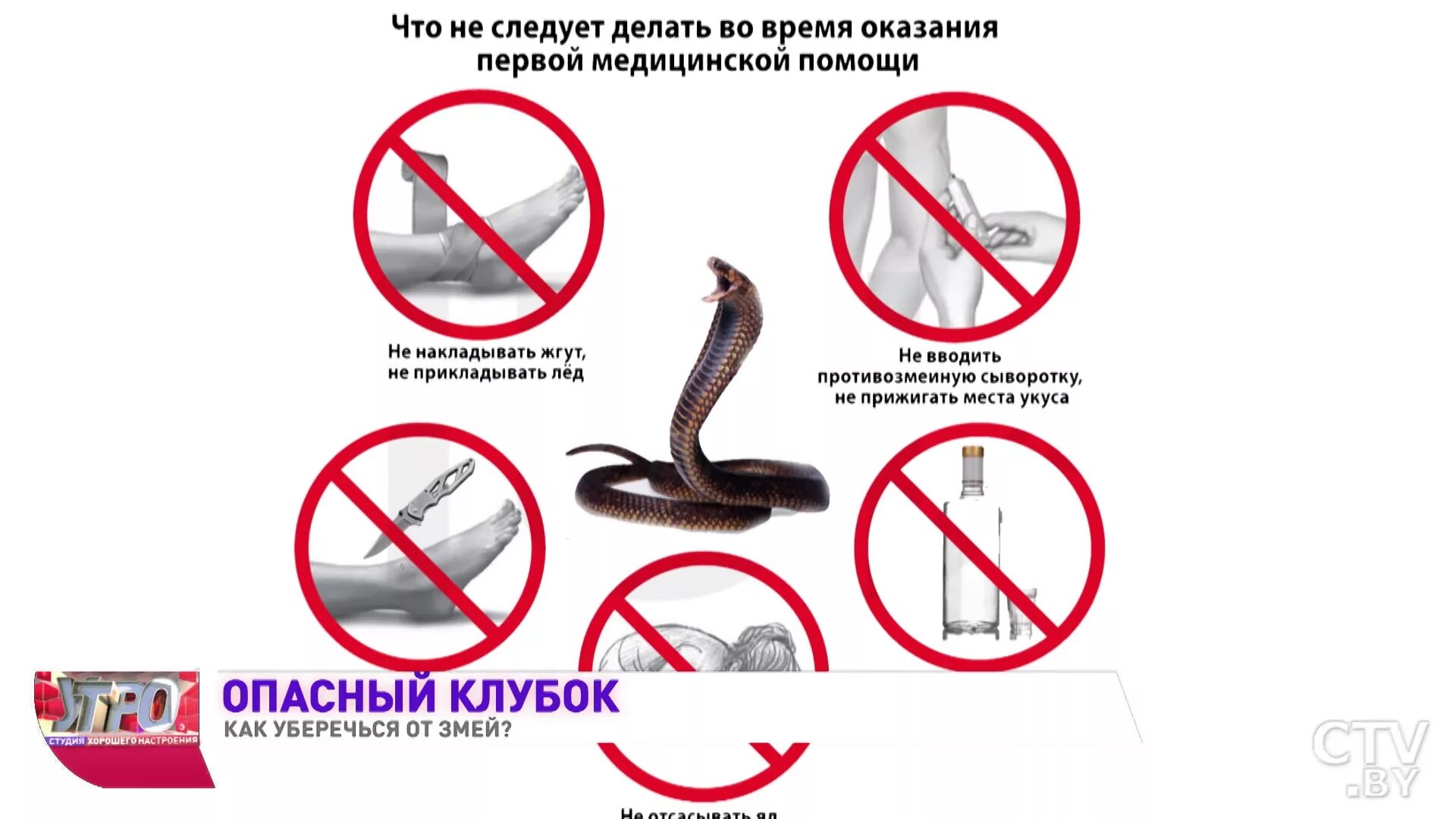 Укусы змей признаки