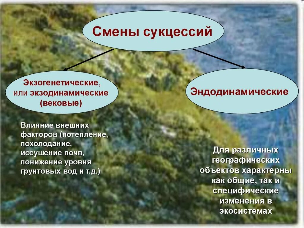 Как называется смена сообществ. Саморазвитие экосистем сукцессии. Сукцессия презентация. Экологическая сукцессия. Изменение экосистемы.