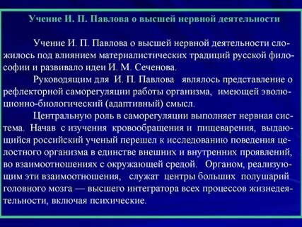 Кем было создано учение о внд