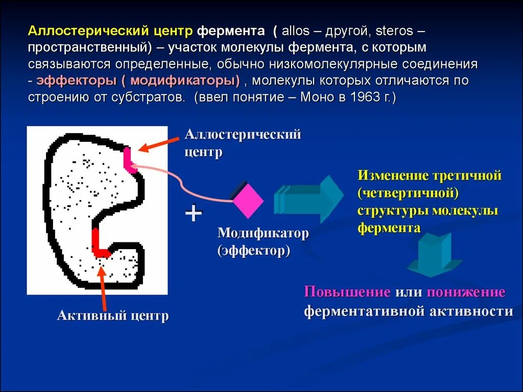 Строение активного и аллостерического центров фермента. Регуляторный аллостерический центр фермента. Структура фермента активный и аллостерический центр. Регуляторные (аллостерические) центры ферментов.