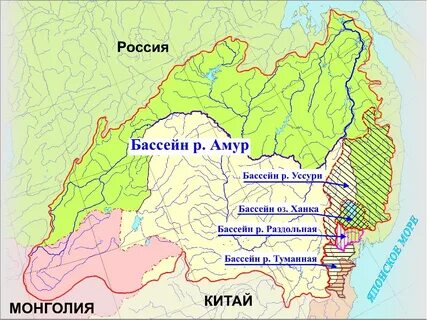 Уссури бассейн какого