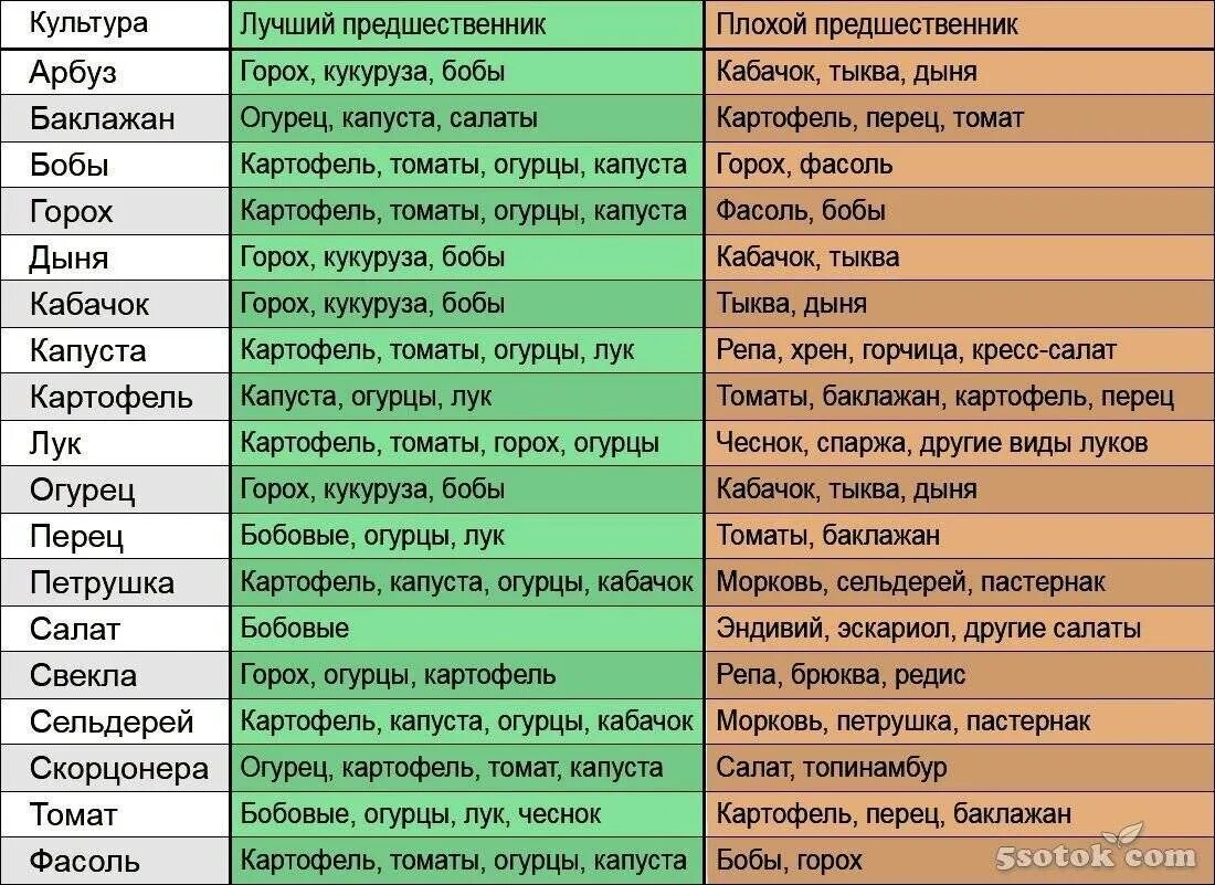 После каких культур можно сажать помидоры. Совместимость овощных культур при посадке на грядке таблица. Посадка овощей предшественники таблица. Предшественники овощных культур при посадке таблица. Совместимость овощей на огороде при посадке таблица.