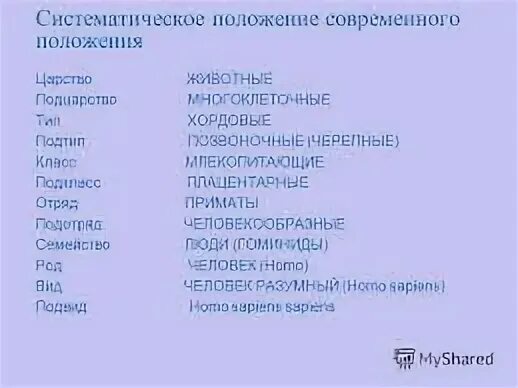 Систематическое положение человека 8 класс биология презентация