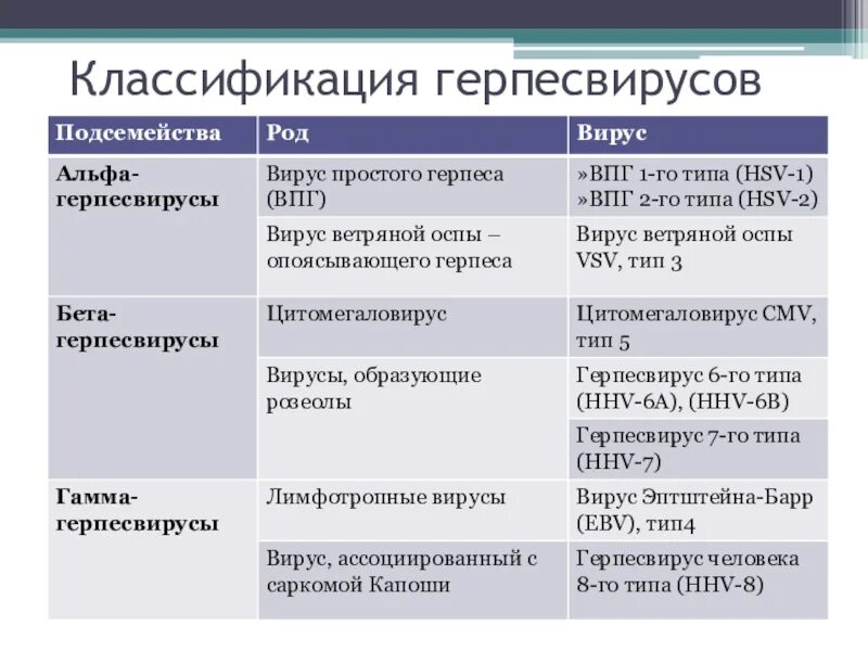 Вирусы семейства герпеса классификация. Классификация вируса герпеса 1 типа. Классификация герпесвирусов. Герпесвирусы классификация. Herpes virus 6