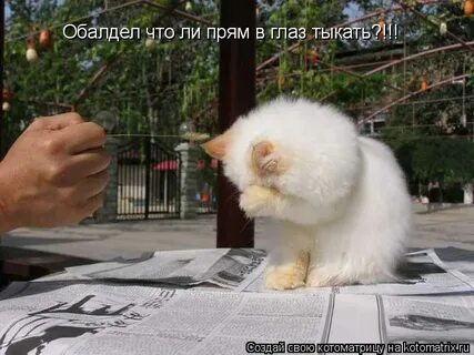 Ой да хорош мне тыкать в морду