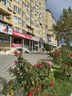 Анапа анапское шоссе 1
