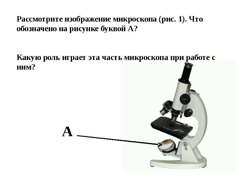 Рассмотрите изображение микроскопа. Какие части микроскопа обозначены буквами. Рассмотрите рисунок микроскопа. Части микроскопа и их названия.