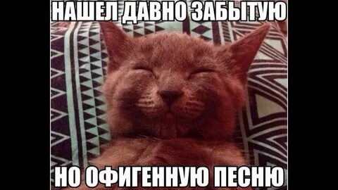 И она давно находится в