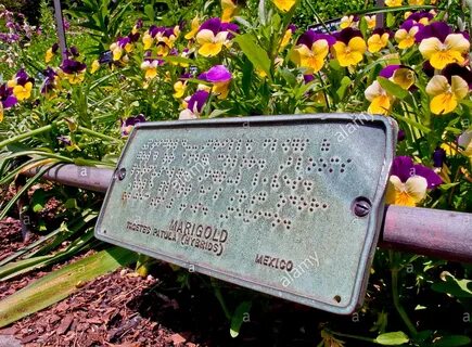 Partner for garden egs