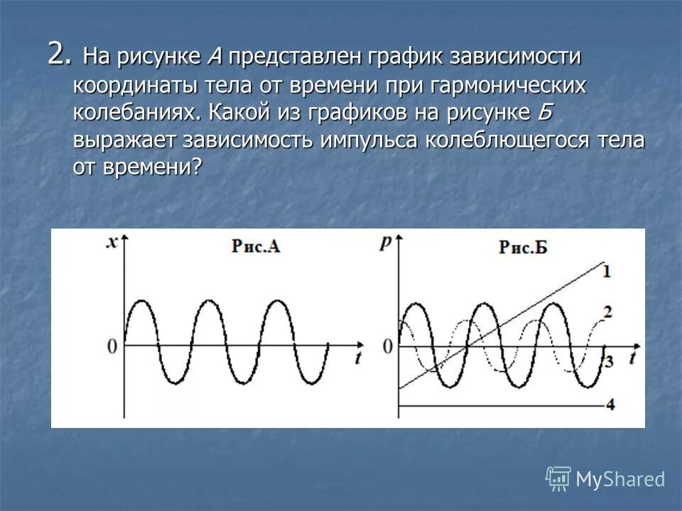 График зависимости координаты точки от времени